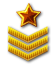 Sergeant-Major